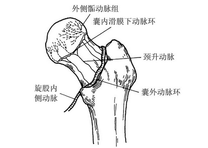 62-1FQ51633220-L.png
