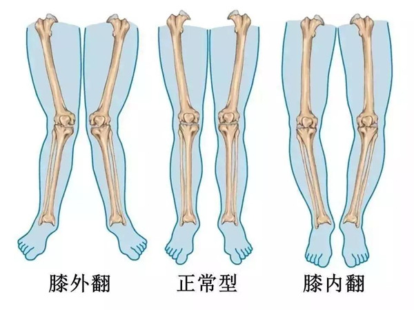 1_副本.jpg 1_副本.jpg